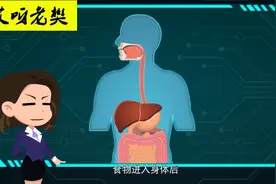 探索人体奥秘：消化系统——我们吃进去的食物去哪里了？视频封面