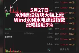 水利建设板块大幅上涨，钱江水利、浙江建投等公司涨停#水利建设#水利#股票视频封面