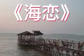 邓丽君一首《海恋》女神金曲，天籁之音！  #爱抖音爱分享🙏🙏🙏视频封面