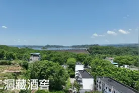 2005年底重庆卫视对长寿湖景区进行航拍时发现了天赐的“寿”字视频封面