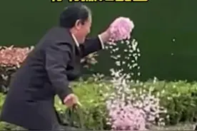 浪漫不分年龄！奶奶躺花堆里拍照，爷爷撒花配合#浪漫至死不瑜 视频封面