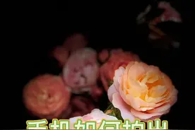 手机如何拍出黑色背景，一招教会你。#摄影 #手机摄影 #摄影技巧视频封面