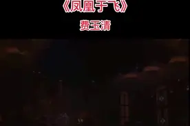 《凤凰于飞》这首歌被无数歌手翻唱，我认为费玉清的翻唱最耐听。#上海百乐门 #流行金曲 #经典永流传视频封面