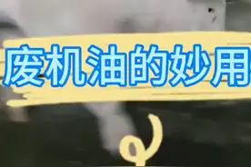 家庭猪场不用的废机油，请废物利用。#猪病 #猪#养猪人视频封面