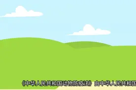 新版《中华人民共和国动物防疫法》  #科普一下视频封面