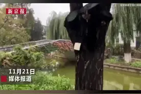 #江一燕道歉 #江一燕 曾凭借其私人住宅获得“美国建筑大师奖”，却涉嫌违规改扩建#官方回应江一燕别墅自改扩建视频封面