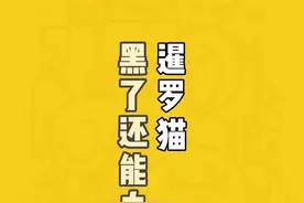 暹罗猫黑了还能再白回来吗？#喵星人 #萌宠 #宠物 #暹罗猫 #每日吸猫视频封面