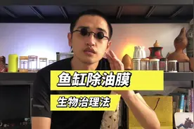 鱼缸水面总是有油花怎么办？分享一个生物治理鱼缸油膜的小妙招视频封面