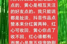 很多好友不明白点黄心是什么意思，今天分享一下！#抖音小助手 @抖音短视频视频封面
