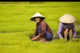 农业农村部、财政部：“耕地地力保护补贴”要直接兑现到户，严禁任何方式统筹集中使用。视频封面