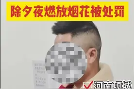 除夕夜，河南项城一男子燃放烟花被处罚。 #男子 #烟花 #河南 #春节 视频封面