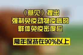农业农村部关于印发《国家动物疫病强制免疫指导意见（2022—2025年）》视频封面