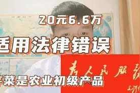 依据《食品安全法》20元6.6万，适用法律错误应予以撤销视频封面