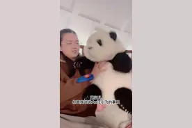 你们觉得呢？#大s汪小菲离婚 #闪婚 #同居视频封面