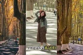 东北人半天打卡南京5个景点是种什么体验？