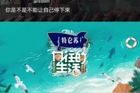 #向往的生活 大家在天台聊到工作时，张艺兴说自己想做的事情很大，压力也很大 #张艺兴视频封面