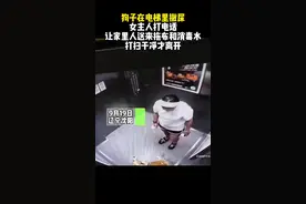 狗子在电梯里撒尿，女主人打电话让家里人送来拖布和消毒水，打扫干净才离开。#狗子 #女主人 