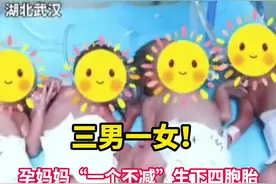 三男一女！孕妈妈“一个不减”生下四胞胎！出生概率仅为0.0001%！视频封面