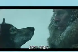 结局！“我再也没有多哥这么好的狗了”，再见了，我的朋友！ #狗   @大眼睛冰糖