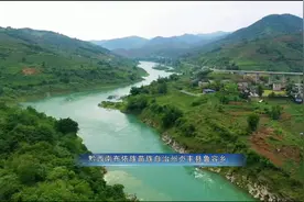 贵州省农科院科技特派员脱贫攻坚纪实(中) #多彩贵州相约2020视频封面