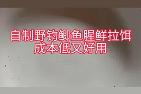 自己制作钓鱼拉饵，好玩又好用。#dou是钓鱼人 #野钓鲫鱼视频封面