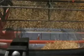 #雷沃谷神 #gm100小麦收割机 视频封面