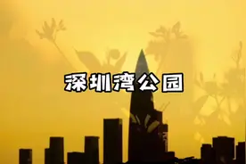 带娃玩遍深圳1026个公园第44集（深圳湾公园）#深圳游玩视频封面