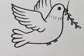 鸽子简笔画来啦，小朋友们马上就可以用到哦#简笔画 @抖音短视频 视频封面