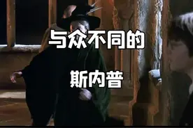 #哈利波特 为什么大家都喜欢斯内普？可能就是因为他与众不同