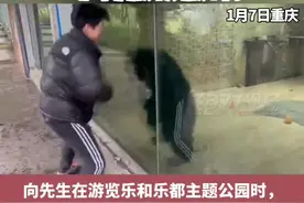 男生与大猩猩隔玻璃互动，大跳“暴躁”舞#黑龙江创作者联盟 视频封面