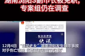 #湖南 瞒报死亡人数，严惩！湖南浏阳3副市长被免职，专案组仍在调查视频封面