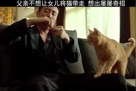 猫竟然听得懂人类讲话猫说实话我真的都快要看不。。。于和伟
