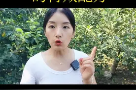 7月辣椒病害大爆发，一定要用这个配方#辣椒 #辣椒种植 #好物推荐🔥 视频封面
