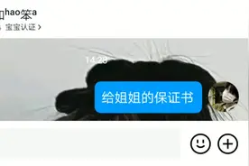 #狙神宠 《给姐姐 的保证书》视频封面