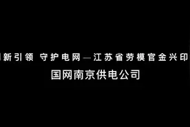 本视频记录了江苏省劳模官金兴在国网南京供电公司变电运维中心…视频封面