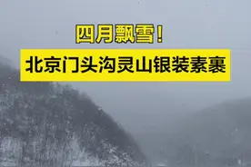 【四月飘雪！门头沟灵山银装素裹 】4月27日，北京门头沟灵山和周边区域，在暮春时节变成了银白色的世界。#北京门头沟灵山四月飘雪