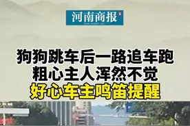 #狗狗跳车后一路追车跑，粗心主人浑然不觉… 网友：看着狗狗奋力奔跑的样子好揪心视频封面
