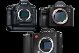 数码相机传感器尺寸对比及介绍#相机 #摄影#摄影器材#摄影器材推荐 #摄影器材分享#莱卡相机#哈苏相机#佳能相机#索尼相机#尼康相机#富士相机@抖音短视频视频封面