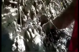 鲜美大青蟹居然生长在这样不堪的环境中！想吃螃蟹来我们南太岛国视频封面