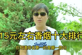 15元香烟十大排行 #香烟 #烟 #戒烟 #传播正能量 #烟民