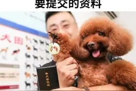 个人申请养犬登记要提交的资料#狗狗 #萌宠 @抖音短视频