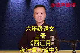 《西江月.夜行黄沙道中》辛弃疾 六年级语文上册视频封面