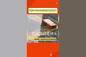 #驾校任何东西都有存在的意义 考过驾照的懂得都懂吧