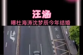 汪涵曝杜海涛沈梦辰今年结婚，两人也是真的甜～视频封面