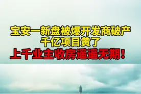 宝安一新盘被爆开发商欠款20.3亿元，330多名准业主的房产受牵连被查封 #深圳宝安 #房产 #抖音小助手视频封面