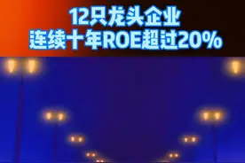 ROE净资产收益率是衡量公司获利能力的重要指标，这些企业连续十年ROE超过20%，请熟记！#价值投资#巴菲特视频封面