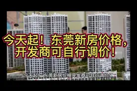 今天起！东莞新房价格，开发商可自行调价！#买房攻略 #房产政策视频封面