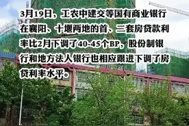 湖北两地下调房贷利率#新闻 #最新消息 视频封面