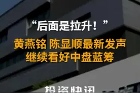 “后面是拉升！”黄燕铭、陈显顺最新发声，继续看好中盘蓝筹#黄燕铭#陈显顺#国泰君安#看好后市视频封面