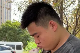 老是有粉丝问壮实，英短纯白跟银渐层有什么区别，那么这一期就来教你们如何分辨#壮实说猫 #纯白英短 #银渐层 